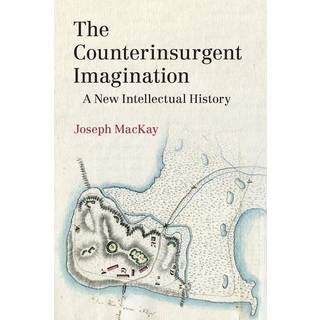 The Counterinsurgent Imagination