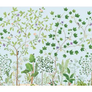 Sycamore & Oak Sky Blue - DABW217212