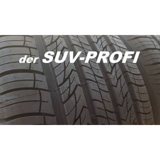Altenzo Sports Navigator XL BSW 285/35R21 105V