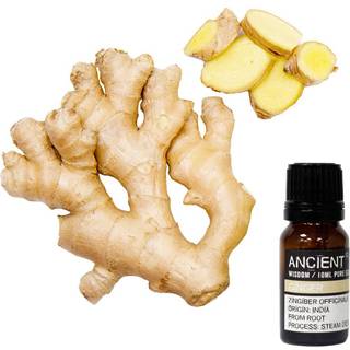 Ingefær æterisk olie (ginger), 10ml
