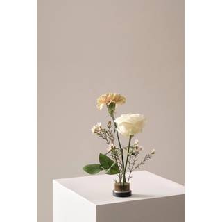 FIORE blomsterfakir ø 4,6 cm - Sort
