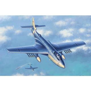 Seahawk MK.100/101