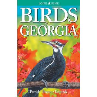 Birds of Georgia
