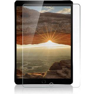 iPad 10,2 Skærmbeskyttelse