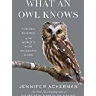 What an Owl Knows