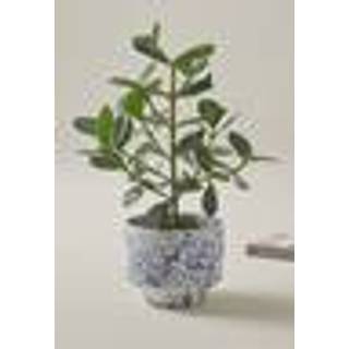 BELLADONNA potteskjuler diameter 21,5 cm - Blå