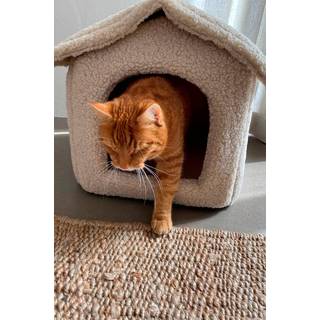 KENZA hundeseng/katteseng - Beige