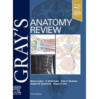 Gray's Anatomy Review