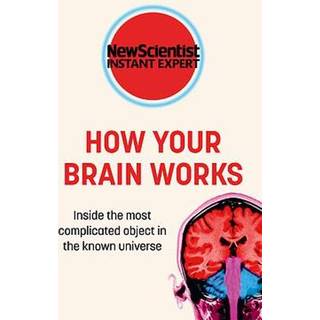 How Your Brain Works