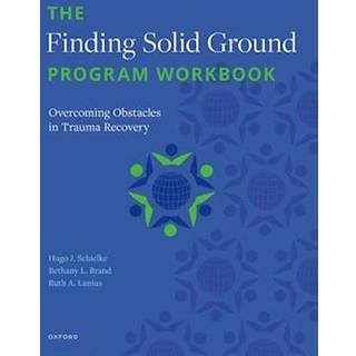 The Finding Solid Ground Program Workbook