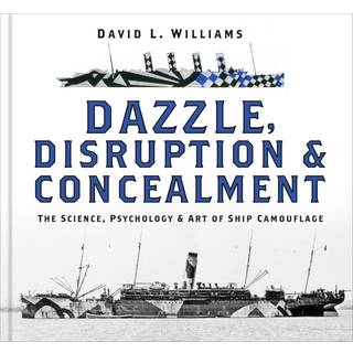 Dazzle, Disruption and Concealment