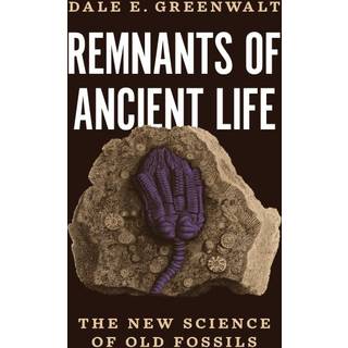 Remnants of Ancient Life