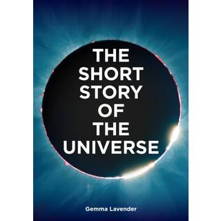 The Short Story of the Universe