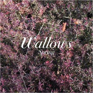 Wallows - Spring
