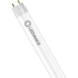 Ledvance LED Lysrør T8 Performance (EM/Mains) Ultra Output 15.6W 2500lm - 865 dagslys | 120cm - erstatter 36W