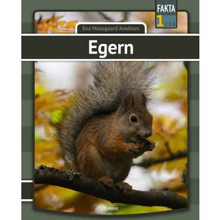 Egern