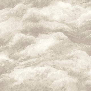 Albany Wallpaper Cloud 5706
