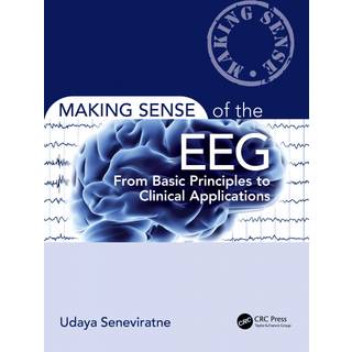 Making Sense of the EEG