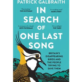 In Search of One Last Song