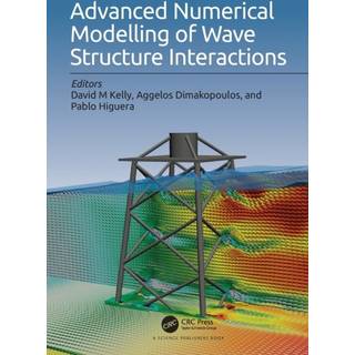Advanced Numerical Modelling of Wave Structure Interaction
