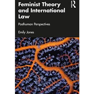 Feminist Theory and International Law