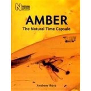 Amber (4, 2010) | Andrew Ross