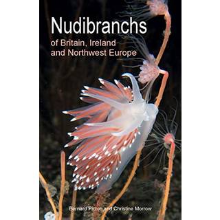Nudibranchs of Britain, Ireland and Northwest Europe