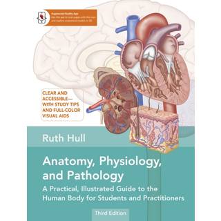 Anatomy, Physiology, and Pathology