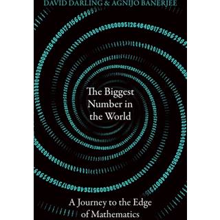 The Biggest Number in the World