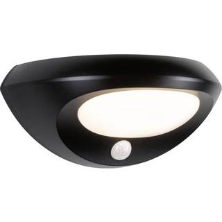 Paulmann udendørs LED-væglampe Sorova, sensor, antracit