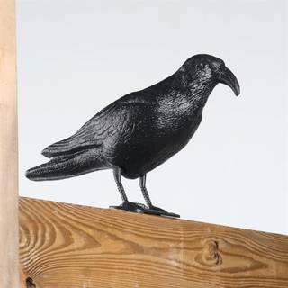 Dueafskræmmer ravn sort havepynt