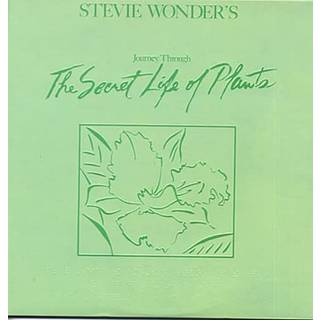 Stevie Wonder - Journey Through The Secret Life Of Plants