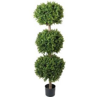 Mr Plant, Buxbom 140 cm