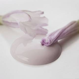 Faded Rose kalkmaling