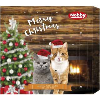 Starsnack Julekalender Kat