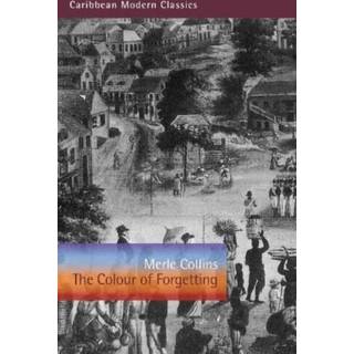 The Colour of Forgetting