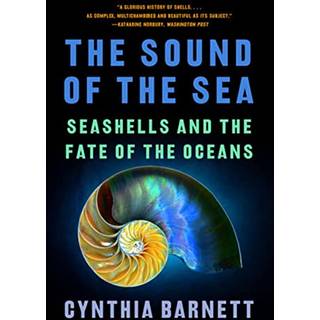 The Sound of the Sea