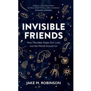 Invisible Friends