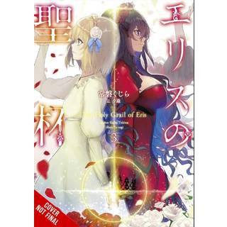 The Holy Grail of Eris, Vol. 3 (light novel)