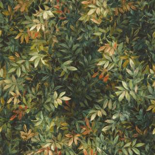 Congo Antique - W0140/02