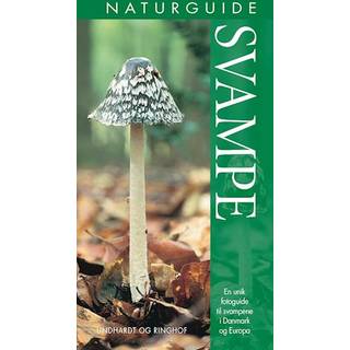 Naturguide Svampe