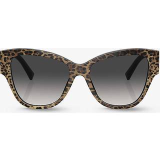Dolce & Gabbana Kvinde DG4449 31638G Solbriller Acetat Brun Grå Sommerfugl Normal Skygge
