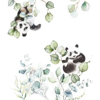 Albany Mural Panda Play Large 364989