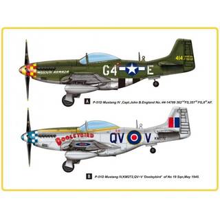 P-51D Mustang IV Fighter