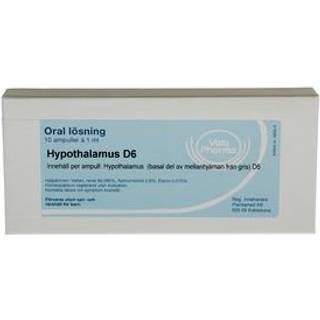 Allergica Hypothalamus D6, ampul - 10 x 1 ml.