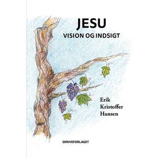 Jesu vision og indsigt