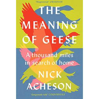 The Meaning of Geese