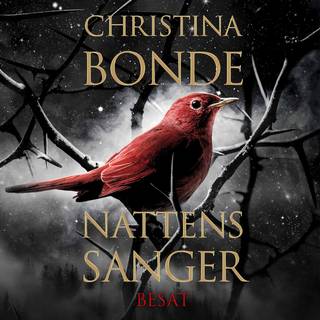 Nattens sanger #1: Besat (Lydbog)