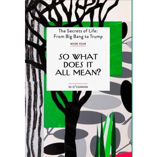 So What Does It All Mean?