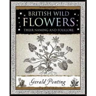 British Wild Flowers